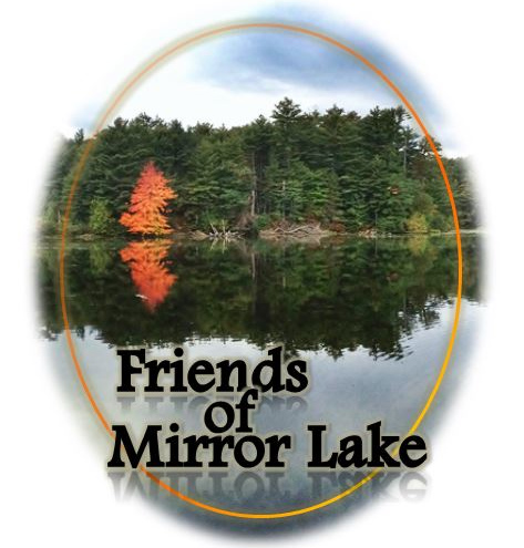 Friends of Mirror Lake State Park